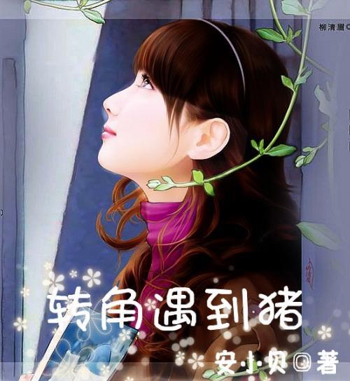 室内如何养好富贵竹-热门问答平台,解决你的所有疑问